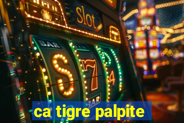 ca tigre palpite